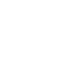 Spotify Icon